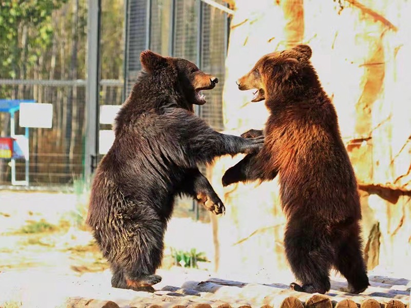 /uploads/image/2025/12/08/b9a4a2dcdaaf4a80136d03c028f04ce4.jpg /uploads/image/2025/12/08/b9a4a2dcdaaf4a80136d03c028f04ce4.jpg