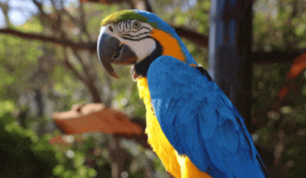 新密银基动物王国 新密银基动物王国