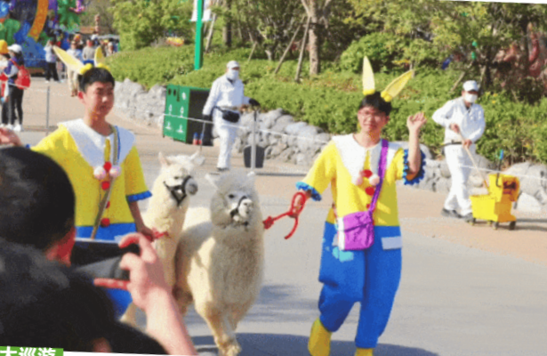 新密银基动物王国 新密银基动物王国