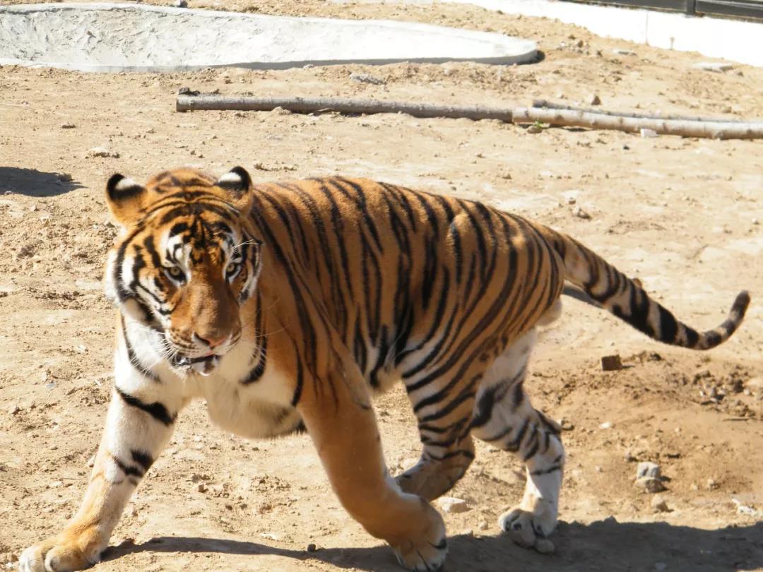 /uploads/image/2025/12/08/62e99dde2bffbef1ddb1f8a1a0950a40.jpg /uploads/image/2025/12/08/62e99dde2bffbef1ddb1f8a1a0950a40.jpg