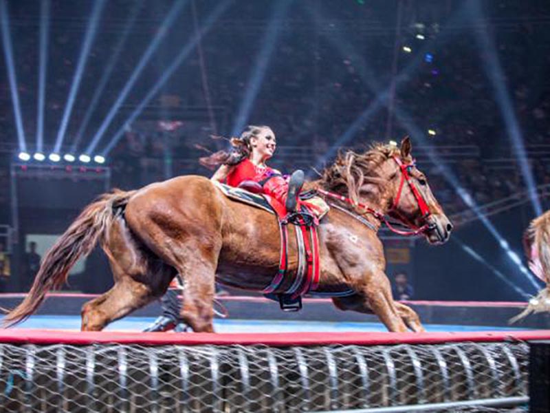 /uploads/image/2025/12/08/2a3ff27d187ac2e5d7cd22f556644492.jpg /uploads/image/2025/12/08/2a3ff27d187ac2e5d7cd22f556644492.jpg