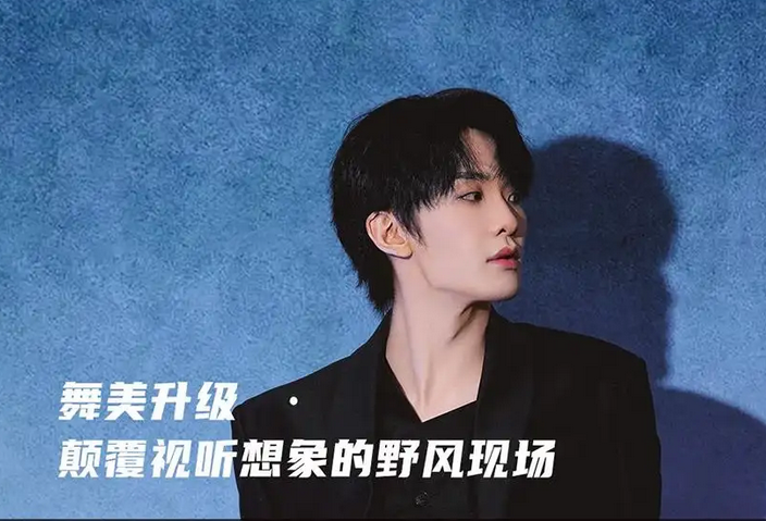 王赫野深圳演唱会