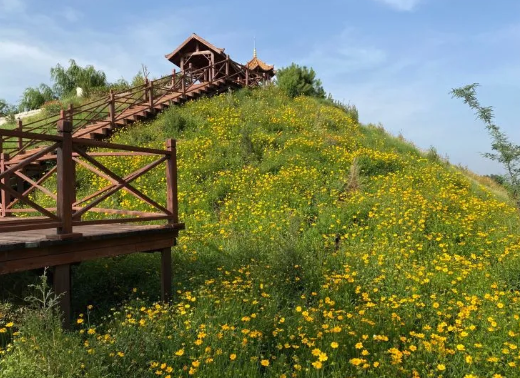 晨明生态园 晨明生态园