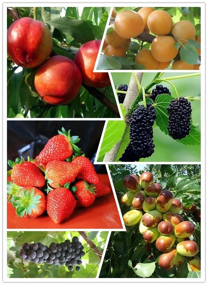 /uploads/image/2025/12/09/82573fb37da1769fbd5b6e8f1ff6ea2d.jpg /uploads/image/2025/12/09/82573fb37da1769fbd5b6e8f1ff6ea2d.jpg