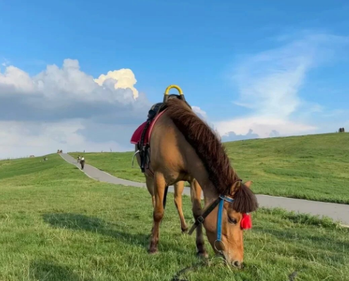 新密伏羲山小马高原