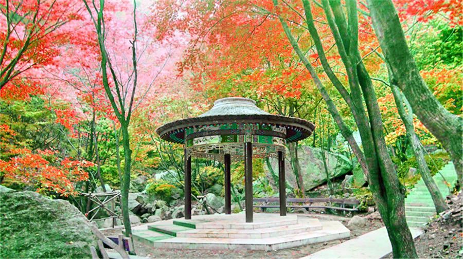 /uploads/image/2025/12/09/4902d4f465dbf46603222044eec52b4e.jpg /uploads/image/2025/12/09/4902d4f465dbf46603222044eec52b4e.jpg