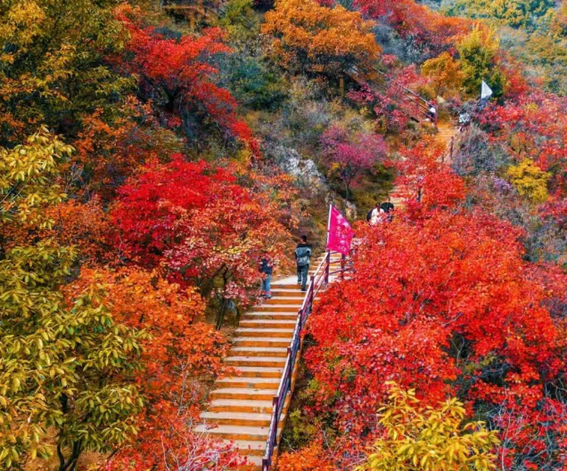 /uploads/image/2025/12/09/89d0687c178d2932da168087d32635d7.png /uploads/image/2025/12/09/89d0687c178d2932da168087d32635d7.png