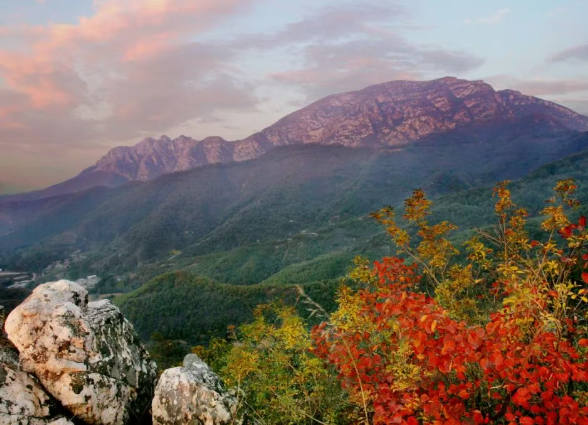 /uploads/image/2025/12/09/5016ef67b3018d7573676f1493a6393c.png /uploads/image/2025/12/09/5016ef67b3018d7573676f1493a6393c.png