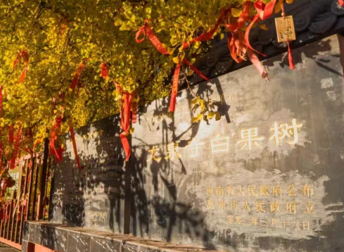 /uploads/image/2025/12/09/fe48924be427a401ea513bd30fcfe971.png /uploads/image/2025/12/09/fe48924be427a401ea513bd30fcfe971.png