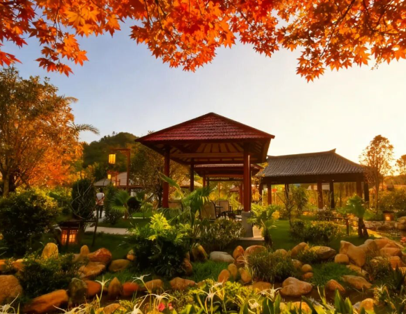 /uploads/image/2025/12/10/e873c0a4e0f610d400a71e7b03dbc66d.png /uploads/image/2025/12/10/e873c0a4e0f610d400a71e7b03dbc66d.png