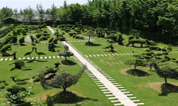 /uploads/image/2025/12/11/4536b5977a5ca2faaafbf328ffc5740d.jpg /uploads/image/2025/12/11/4536b5977a5ca2faaafbf328ffc5740d.jpg