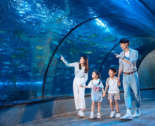 /uploads/image/2025/12/11/5bac46b6f65dd58da35120929477b1ef.png /uploads/image/2025/12/11/5bac46b6f65dd58da35120929477b1ef.png