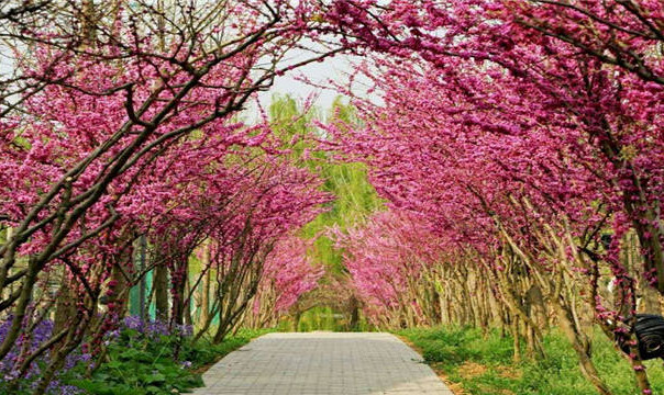 /uploads/image/2025/12/11/12c745a228ca70901fb8788c2336cc30.jpg /uploads/image/2025/12/11/12c745a228ca70901fb8788c2336cc30.jpg