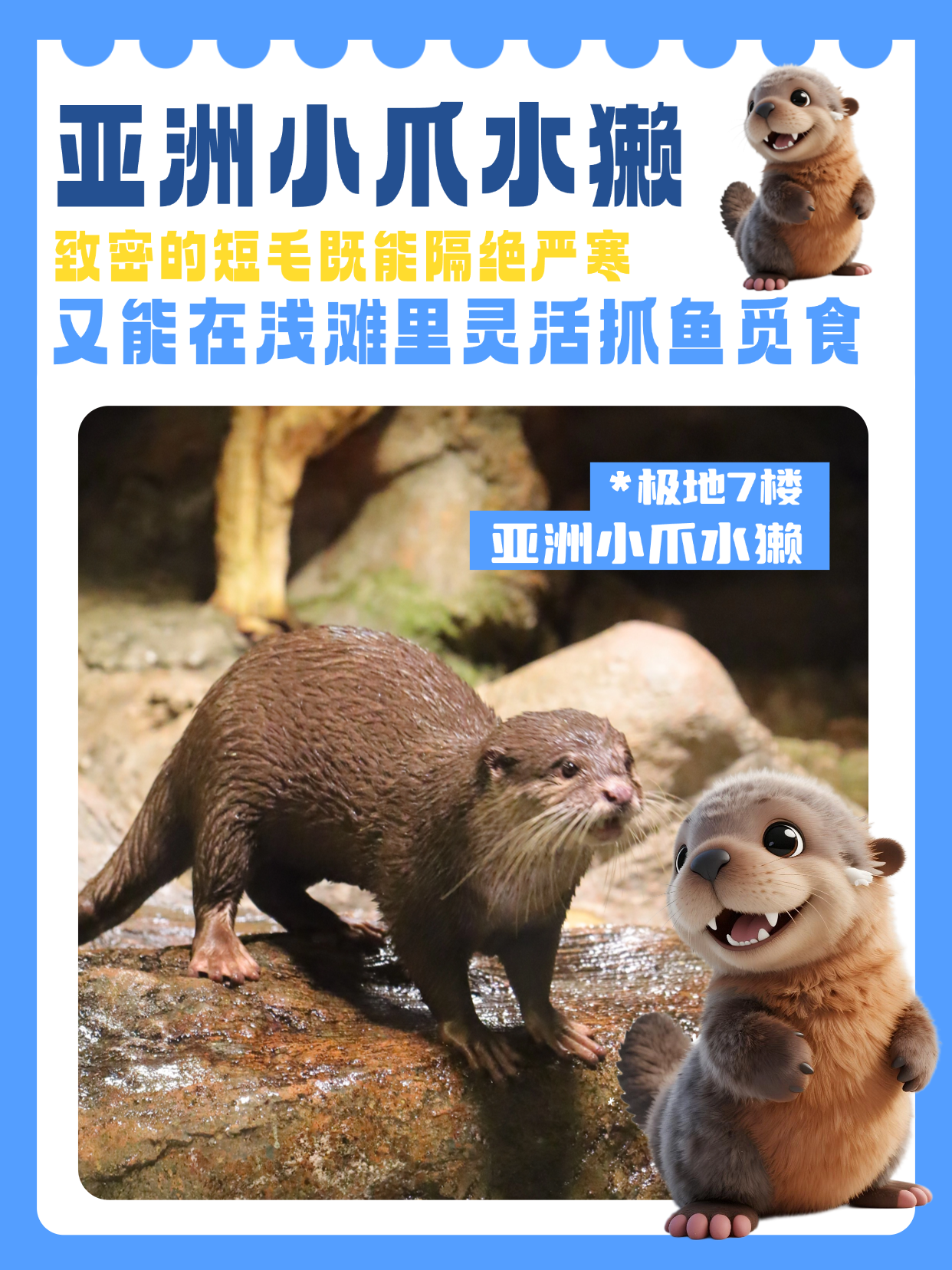 郑州海洋馆 郑州海洋馆