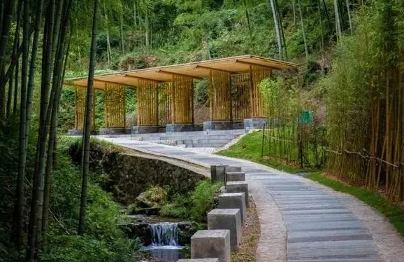 宏村木坑竹海 宏村木坑竹海