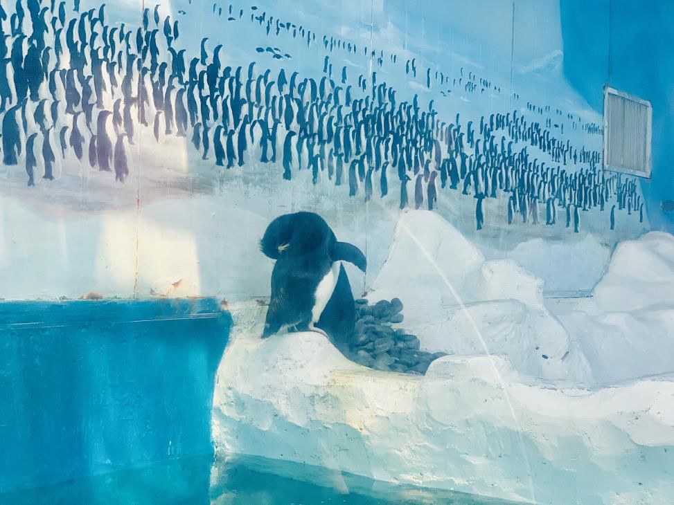 /uploads/image/2025/12/11/908ffb7ae514eb10ecb113ff1d79bb6e.jpg /uploads/image/2025/12/11/908ffb7ae514eb10ecb113ff1d79bb6e.jpg