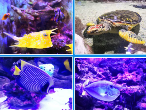 /uploads/image/2025/12/11/4619418a6869267ded491b8b85eeae83.png /uploads/image/2025/12/11/4619418a6869267ded491b8b85eeae83.png