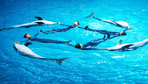 /uploads/image/2025/12/11/b5f2dad8f695c113a012c55e782c2df2.png /uploads/image/2025/12/11/b5f2dad8f695c113a012c55e782c2df2.png