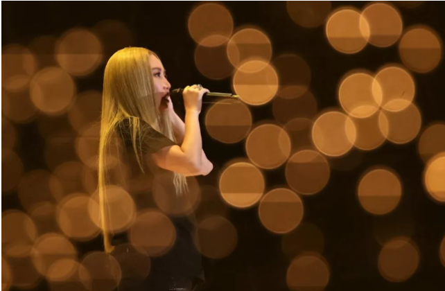 黃麗玲無錫演唱會(huì)