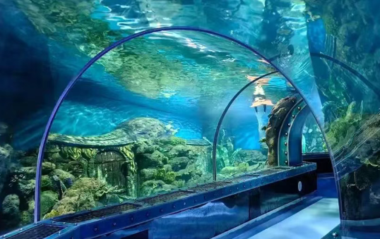 /uploads/image/2025/12/12/01e27746714ffb69bcd6e717959cfae4.png /uploads/image/2025/12/12/01e27746714ffb69bcd6e717959cfae4.png