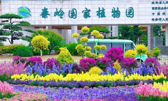 /uploads/image/2025/12/12/86e4a3ee78a85feceda12df12acc5358.png /uploads/image/2025/12/12/86e4a3ee78a85feceda12df12acc5358.png