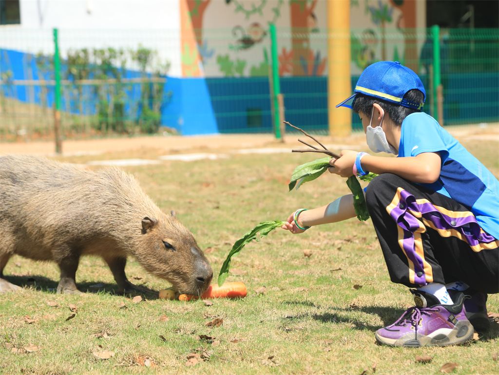 湖南常德野生动物世界 湖南常德野生动物世界