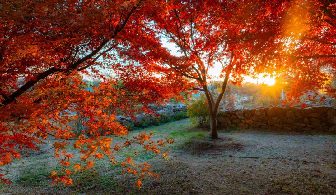 江苏省旅游年卡