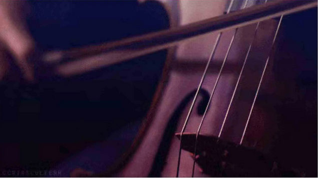 《梁祝/卡農(nóng)》燭光音樂(lè)會(huì)廈門(mén)站