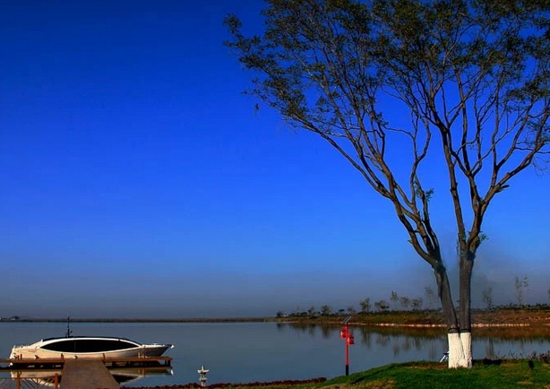 东方华地城 东方华地城