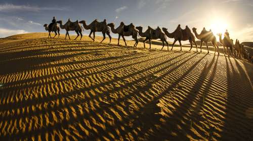 鄂尔多斯 鄂尔多斯