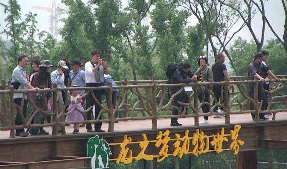 /uploads/image/2025/12/19/a67d03570a4665266e022234bab9f09a.jpg /uploads/image/2025/12/19/a67d03570a4665266e022234bab9f09a.jpg