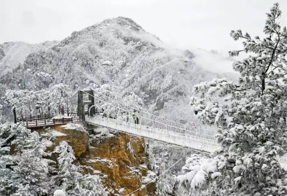 /uploads/image/2025/12/20/2671b1cc6d778776bdbb84eff2760926.png /uploads/image/2025/12/20/2671b1cc6d778776bdbb84eff2760926.png