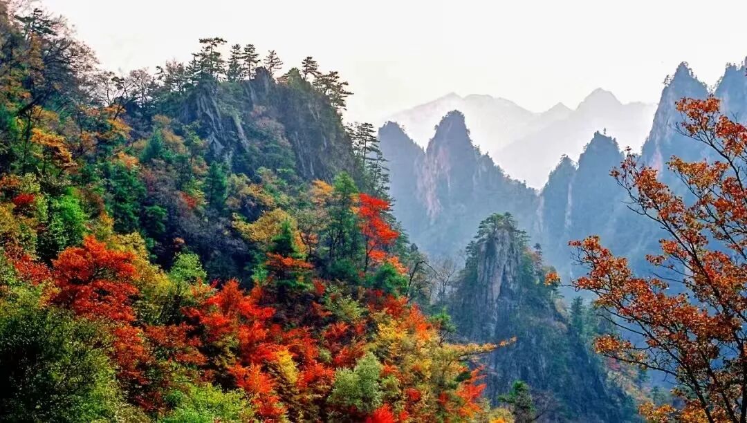 老界岭旅游度假区