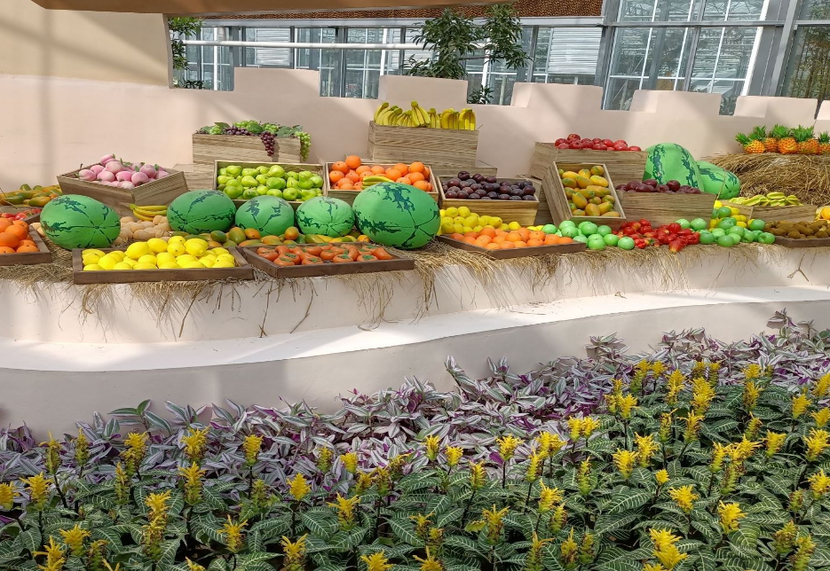 爱思嘉农业嘉年华