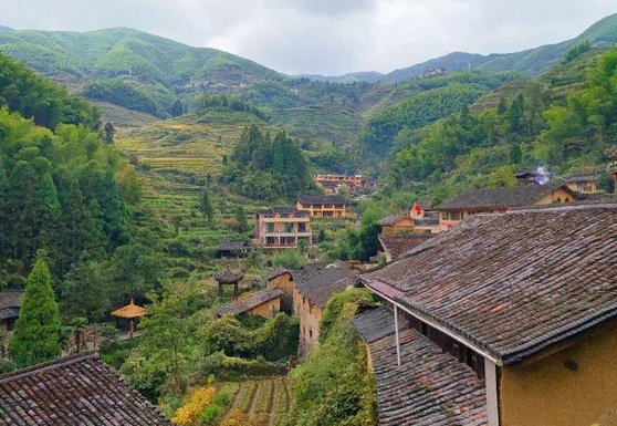 /uploads/image/2025/12/20/09876937424fa49c68eb77befae2be9b.png /uploads/image/2025/12/20/09876937424fa49c68eb77befae2be9b.png