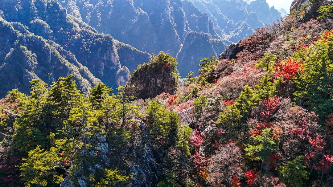 老界岭旅游度假区