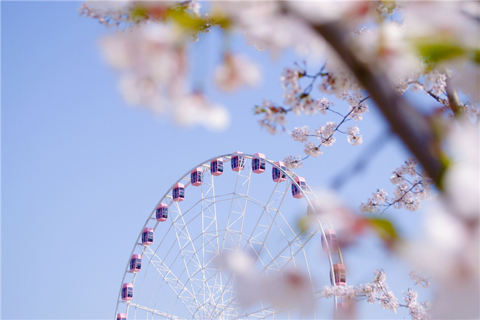 /uploads/image/2025/12/22/deca67ed6a21cf4e354c89bf8c2de77a.jpg 1f47513d149285af17e57e935a33144c.jpg