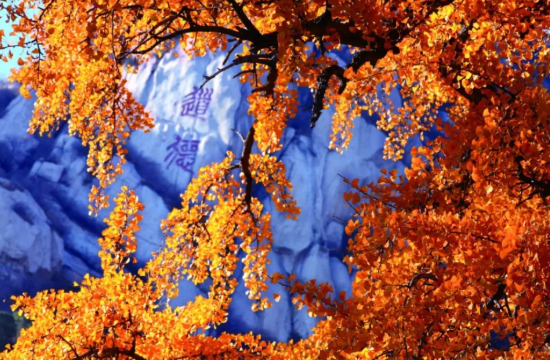 京津冀名胜文化休闲旅游年卡