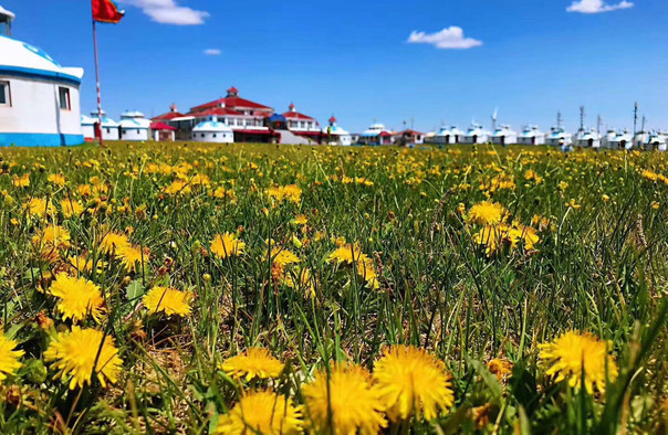 /uploads/image/2025/12/24/97c3cb38585586b6307a7e72c9d064f3.jpg /uploads/image/2025/12/24/97c3cb38585586b6307a7e72c9d064f3.jpg