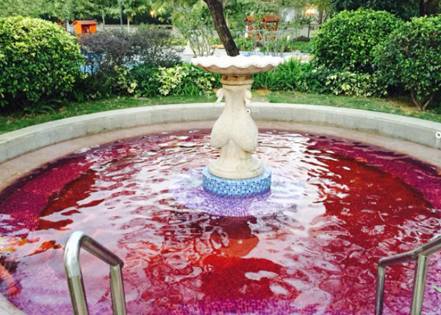 广东鹿湖温泉 广东鹿湖温泉