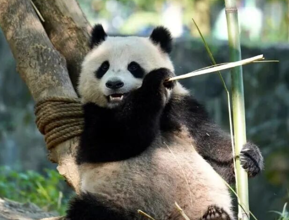 /uploads/image/2025/12/29/4399b3438daa37234c9f125c7af24152.png /uploads/image/2025/12/29/4399b3438daa37234c9f125c7af24152.png