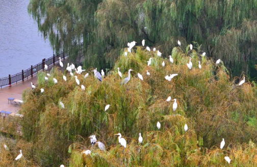 三水源生態(tài)旅游度假區(qū)