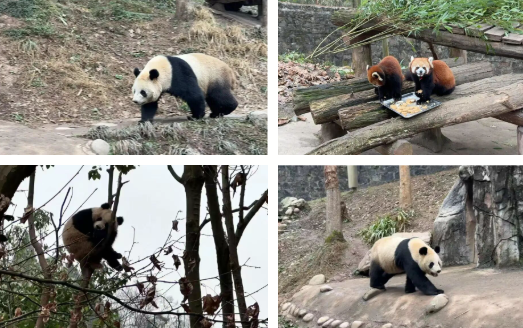 /uploads/image/2025/12/29/7f43b295fd5f15ee687bcd70886f8bb7.png /uploads/image/2025/12/29/7f43b295fd5f15ee687bcd70886f8bb7.png