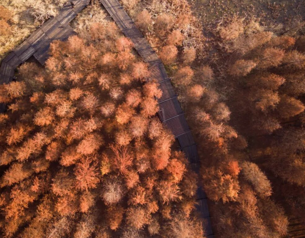 /uploads/image/2025/12/29/94e533cb54b9bfef037eafb9150c9549.png /uploads/image/2025/12/29/94e533cb54b9bfef037eafb9150c9549.png