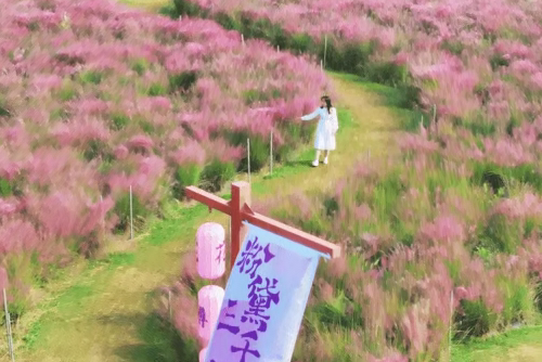 /uploads/image/2025/12/29/a1ddb52153ca3ad1450dfbd2d139d058.png /uploads/image/2025/12/29/a1ddb52153ca3ad1450dfbd2d139d058.png