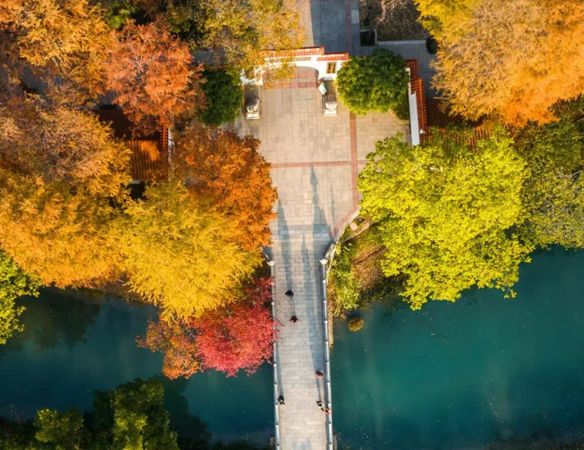 2026武漢騰旅e卡通年卡介紹(景點目錄+購卡入口)