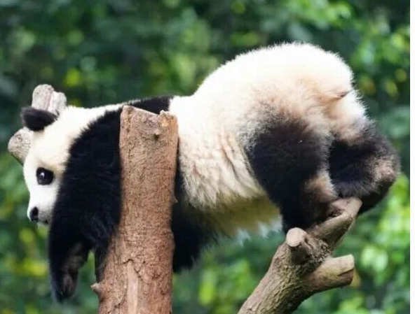 /uploads/image/2025/12/29/af64affd93c69de0a2fc168607d85581.png /uploads/image/2025/12/29/af64affd93c69de0a2fc168607d85581.png