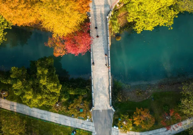 2025武漢騰旅e卡通景區(qū)亮點及游玩時間(附年卡價格+購買入口)