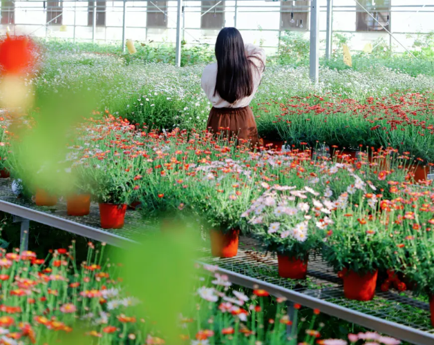 武漢職工惠游年票