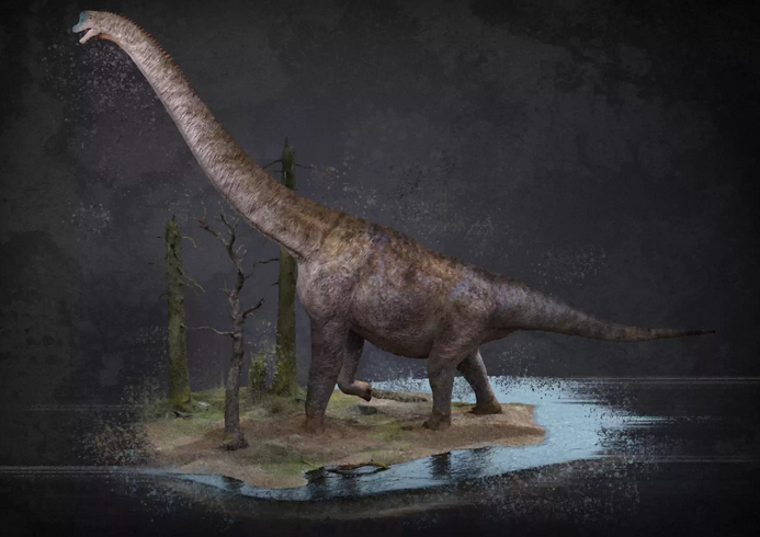 /uploads/image/2026/01/16/0c202e8a3cb4d76807992d25b33f0aa2.png 图片.png